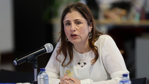 Iris Marín,  defensora del Pueblo, negó la existencia de informes sobre supuesta coacción de grupos al margen de la ley a favor de la camaña de Iván Cepeda. 